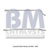 BM CATALYSTS BM50025 Exhaust Pipe